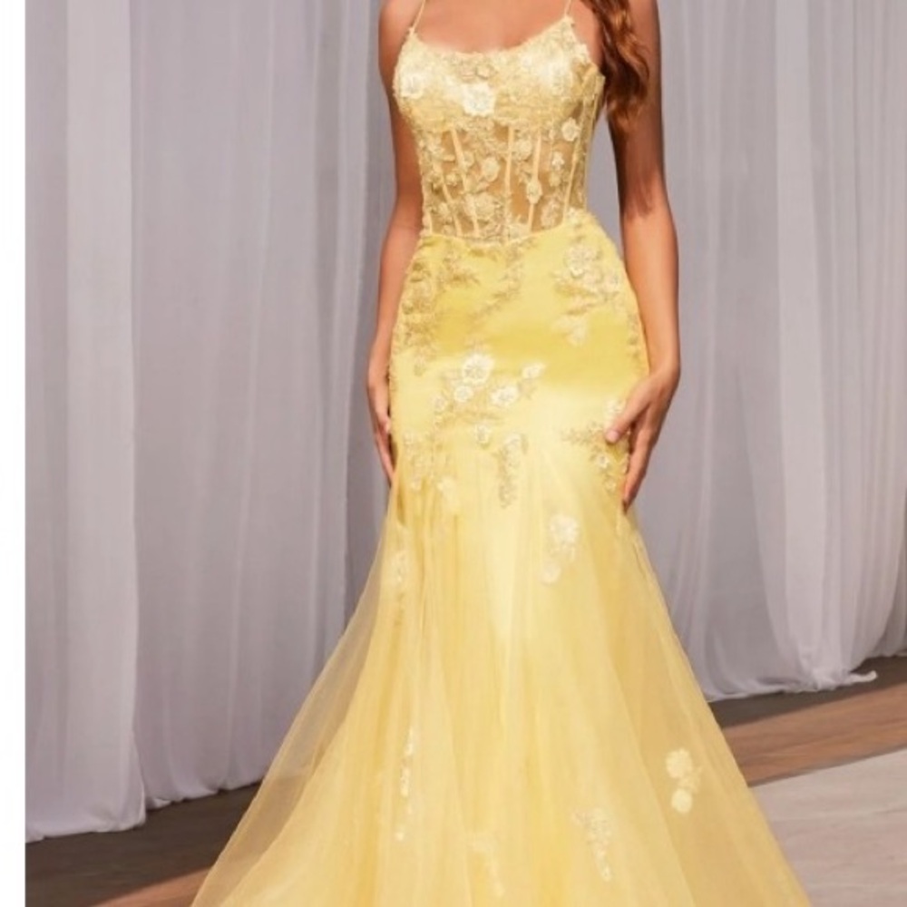 Elegant Yellow Lace Evening Gown/ Prom Dress